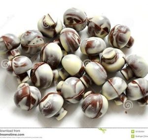 mushroom-chocolate-stock-1