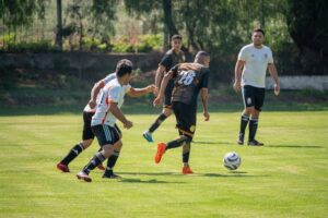 c53epP.pexels-israel-torres-17955658